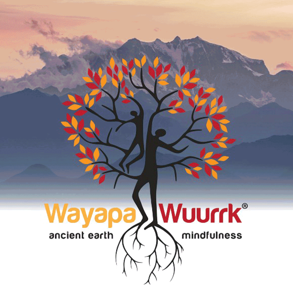 A gif of Wayapa Wuurrk. There are images of their workshop with children and adults.