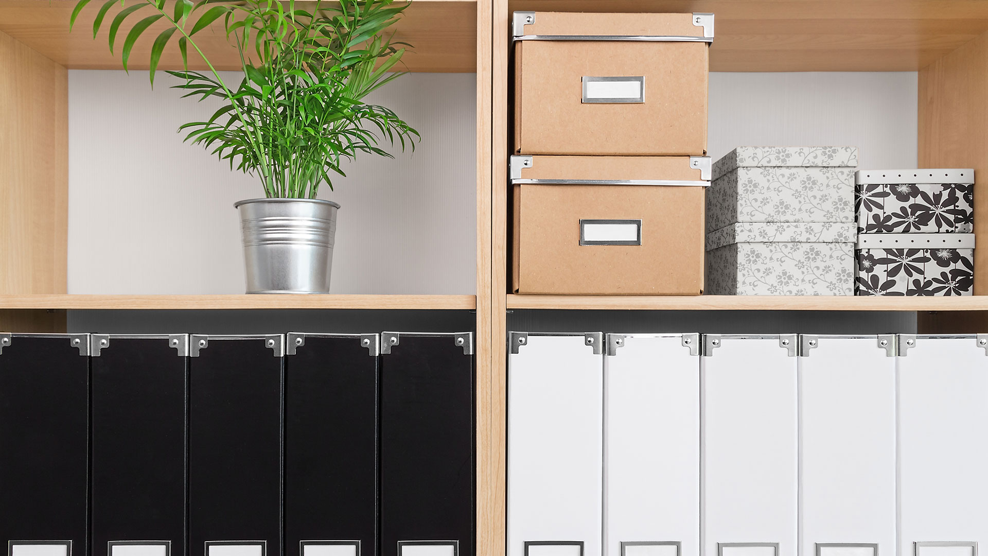 Very tidy office shelfs with neat boxes, files and a plant in a silver pot. 