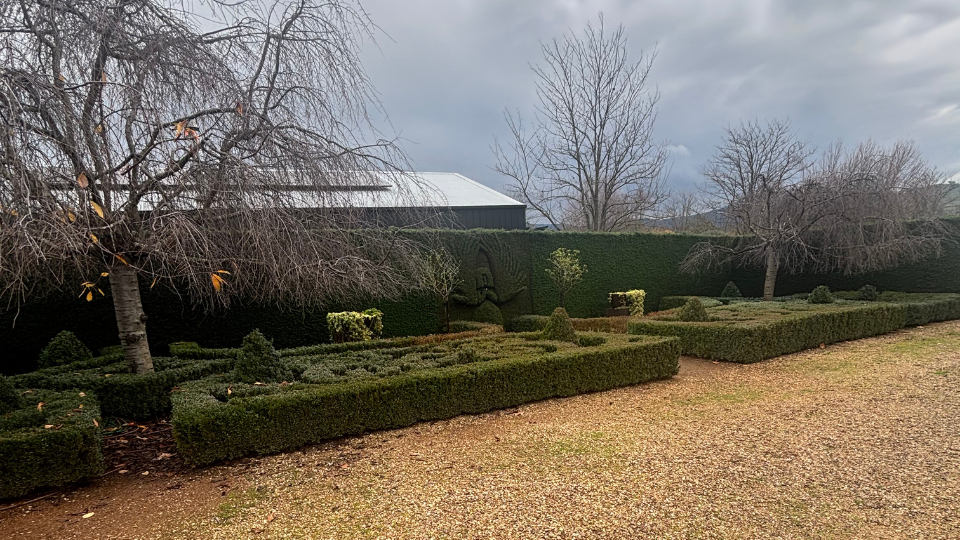 The hedges at High Country Estate.