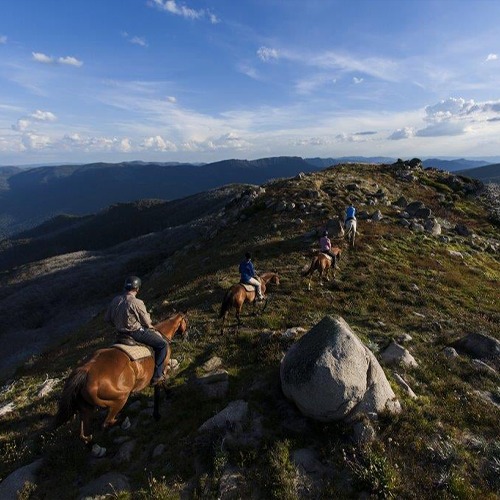 Four people on horseback, part of the Watsons Mountain Country Trail Rides, at the top of a grassy mountain range.