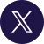 x Icon