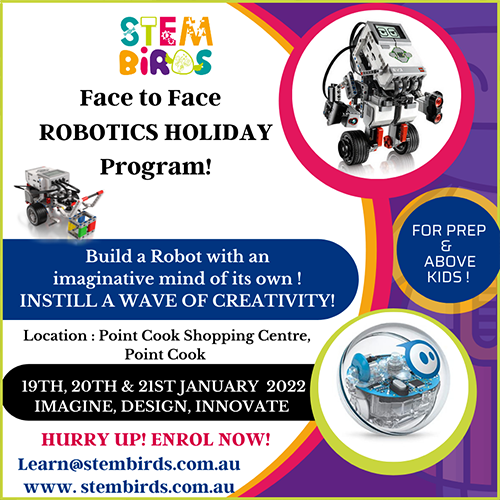 A flyer from STEM Birds robotics holiday program. STEM meaning science, technology, engineering and mathematics.
