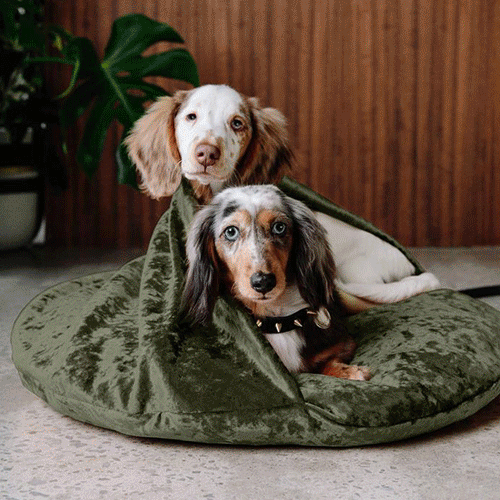 A gif of the Doggie Snuggle bed. There are several images of dogs lying on the bed.