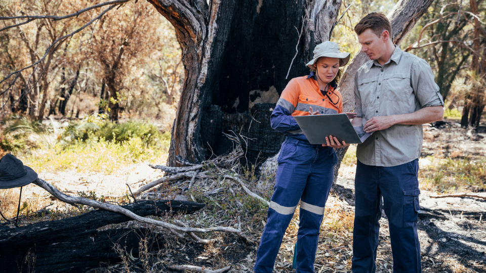A man and woman standing in front of a tree looking at a laptop.
