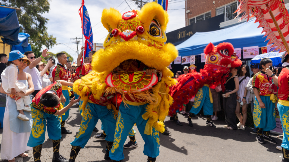 Lion Dance at the Lunar New Year Festival