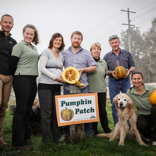 Seven people from Aus Pumpkin Seed Factory posing for the camera. A man and a woman in the middle are holding a pumpkin that is cut in half.