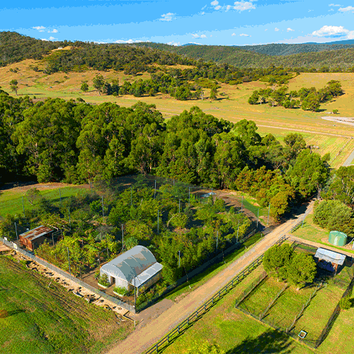 gif of edible plants