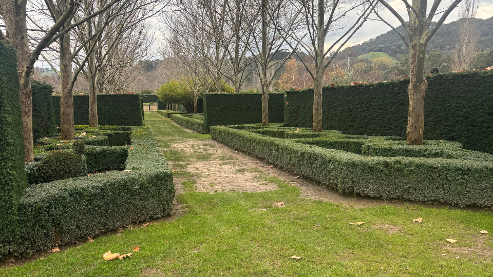 The gardens at High Country Estate.