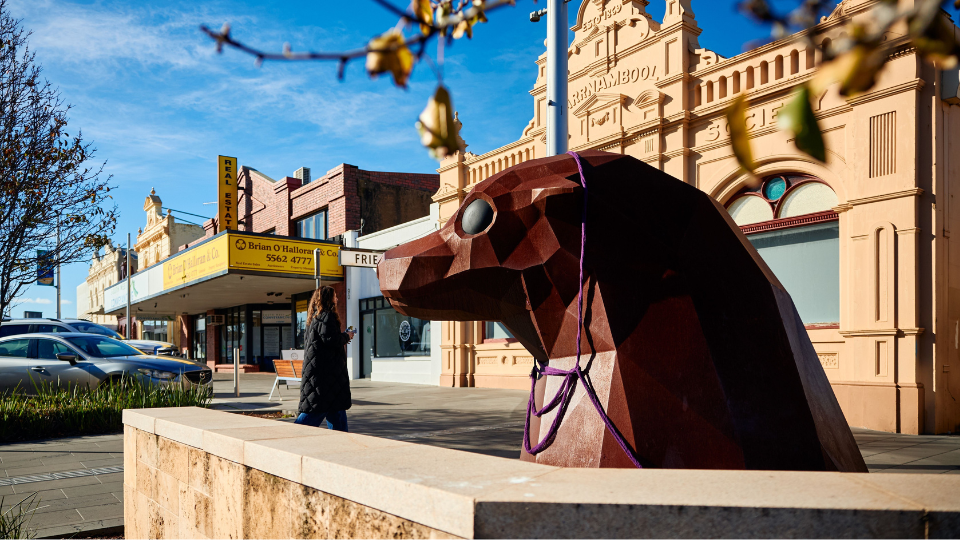 The town of Warrnambool with people walking around.